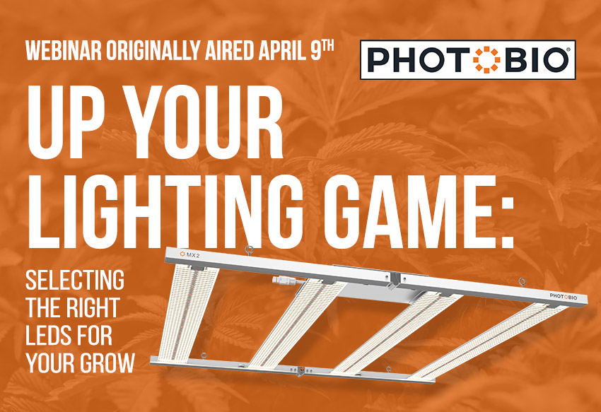 Up Your Lighting Game: Selecting the Right LEDs For Your Grow